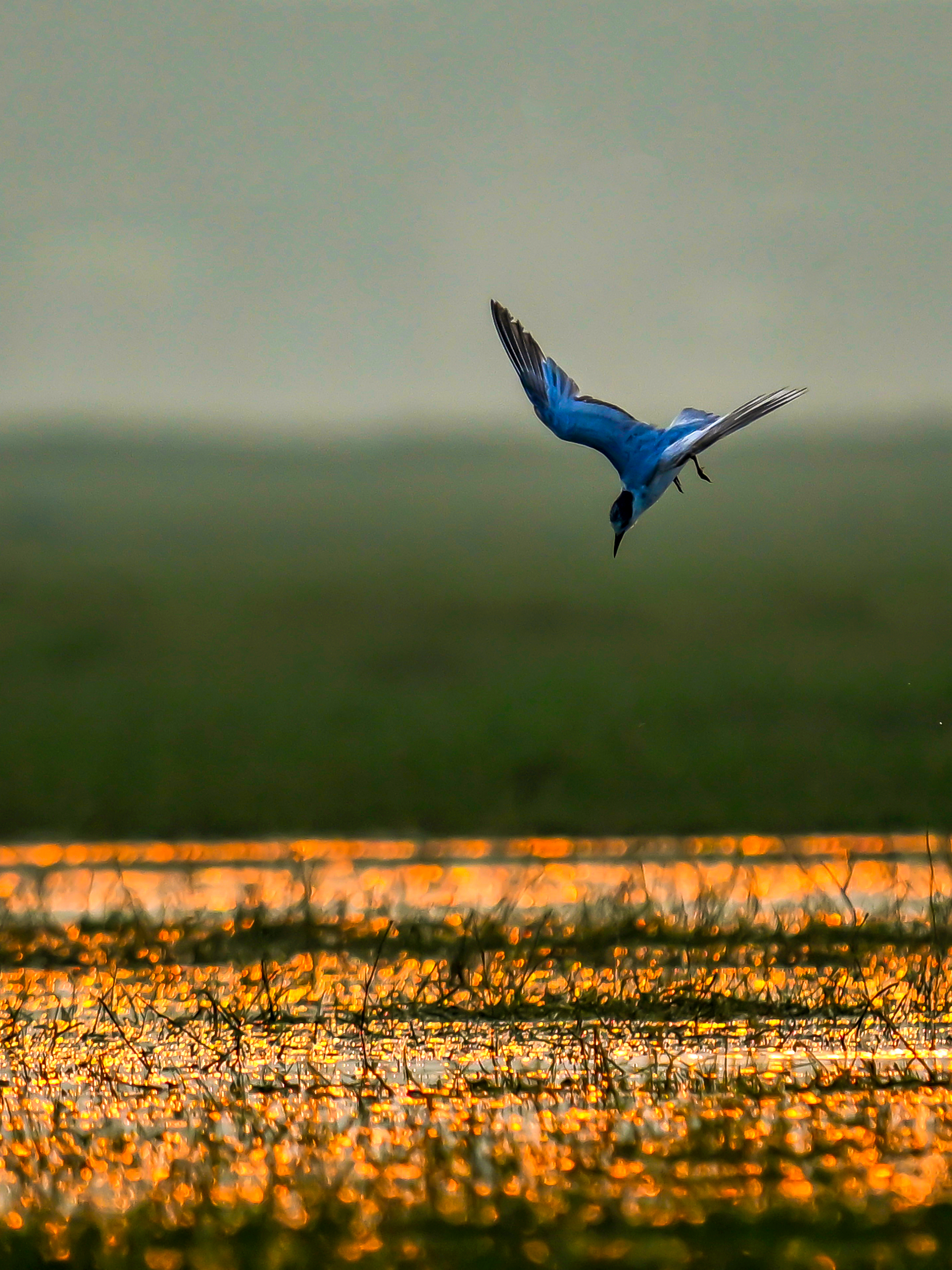 Aiming to Dive into the Goldmine